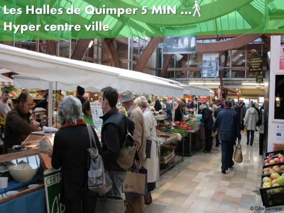 Oo Le Jardin Oo Paisible Studio Equipe Et Bien Place Quimper Eksteriør billede