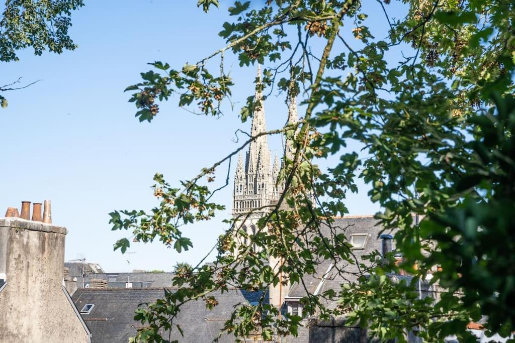 Oo Le Jardin Oo Paisible Studio Equipe Et Bien Place Quimper Eksteriør billede